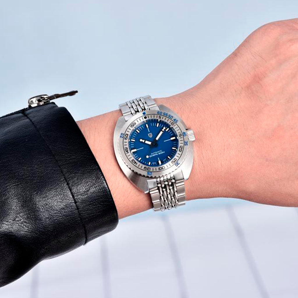 Design Turtle Blue