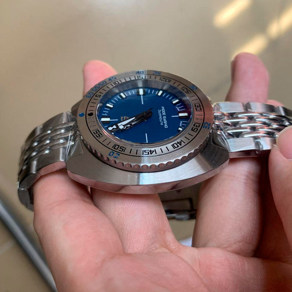 Design Turtle Blue