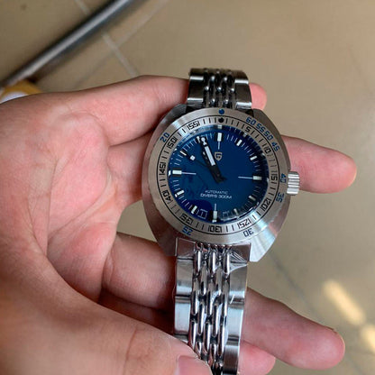 Design Turtle Blue