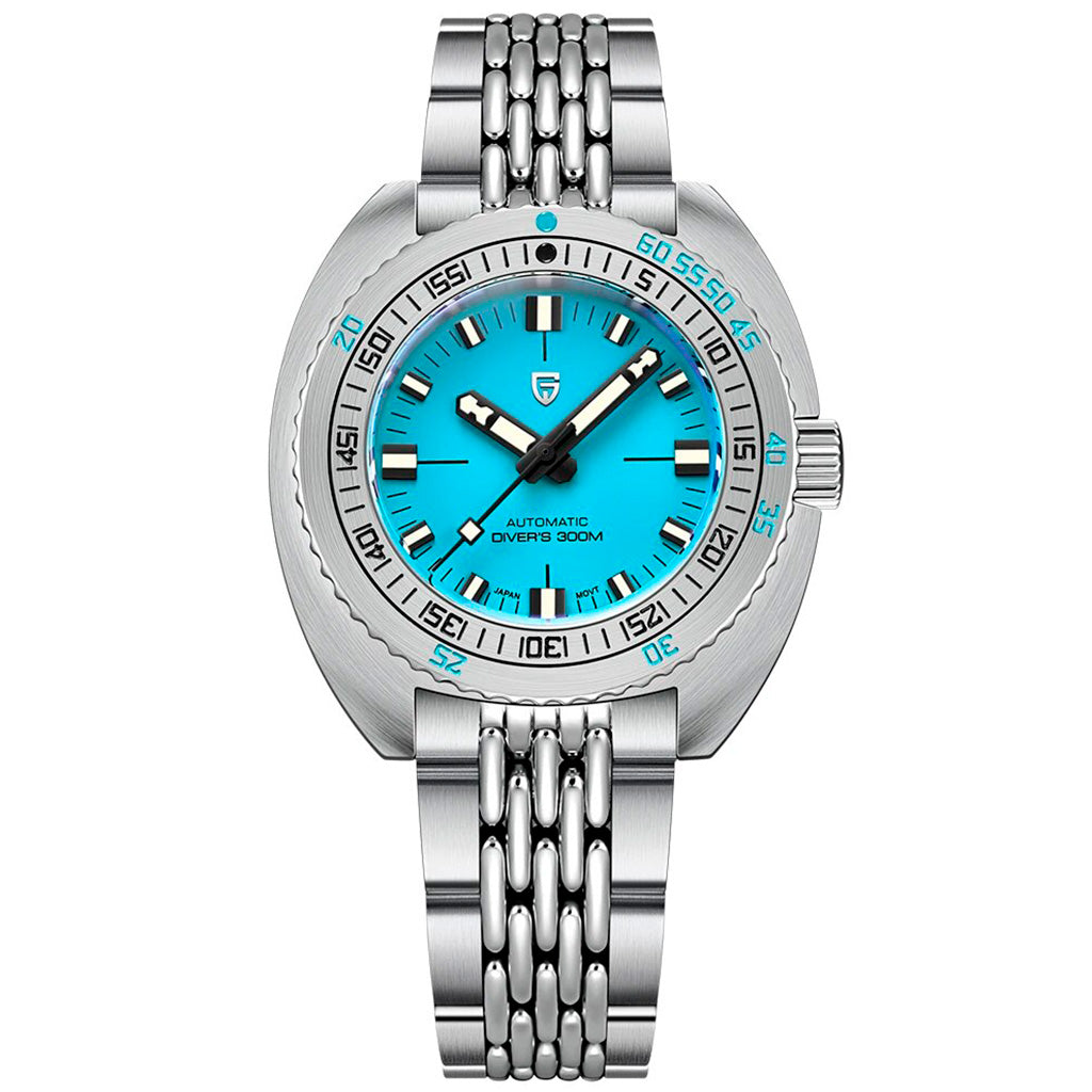 Design Turtle Turquoise