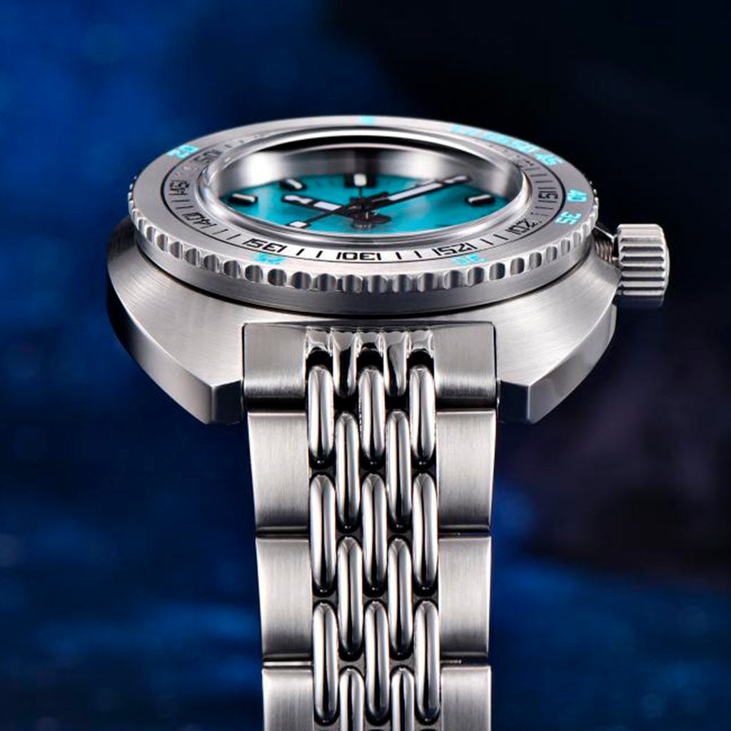 Design Turtle Turquoise