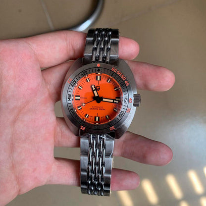 Design Turtle Orange
