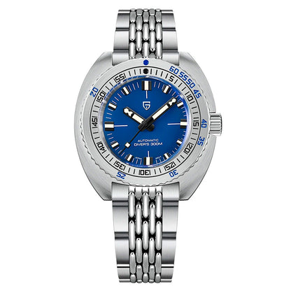 Design Turtle Blue